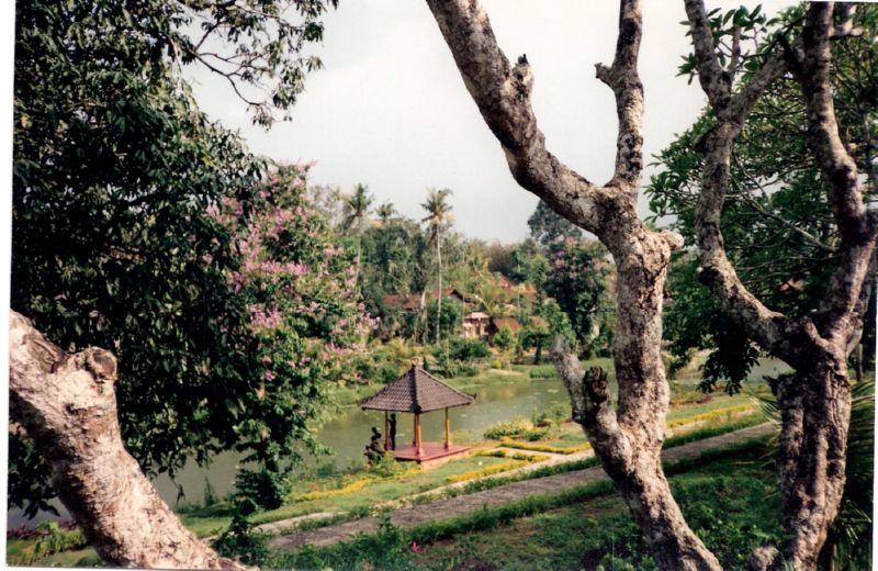 bali0014