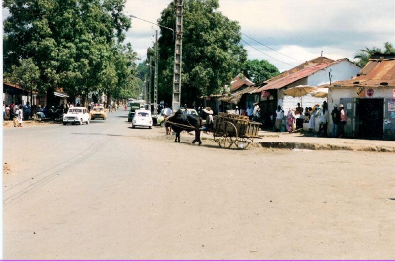 malagasy0012